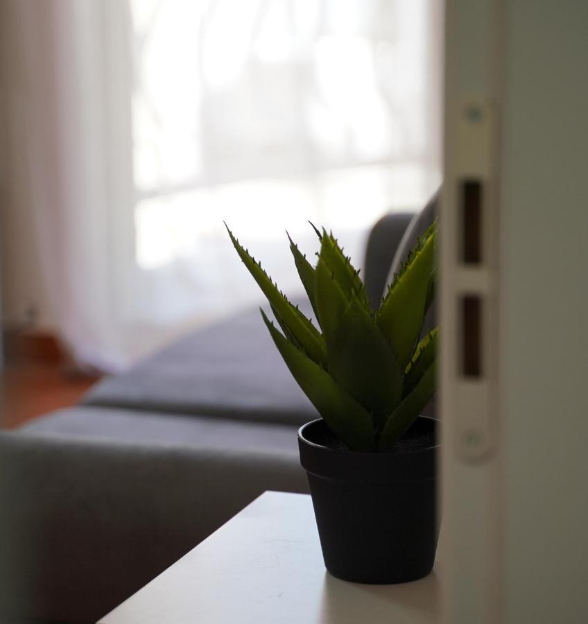 Stylish Apartment Near Tirana Center Extérieur photo